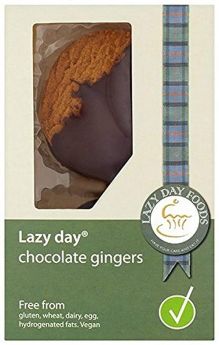 Lazy Days Chocolate Ginger Snaps 30g